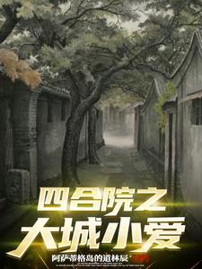 小说《四合院》